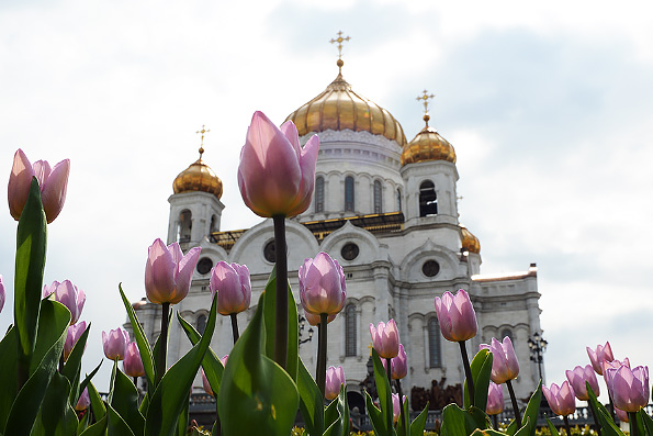 Утвержден состав делегации Русской Православной Церкви на Всеправославный Собор